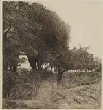 Roderic O'Conor, Path Through The Trees, (1893) Etching