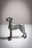 Anthony Scott, Standing Dog