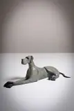 Anthony Scott, Dog Laying Down