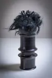 Sonja Landweer, Friendly Feathered Demon