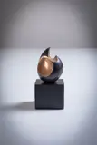 Sonja Landweer, Pointed Seed