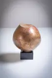 Sonja Landweer, Golden Conker