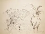 Pauline Bewick, Tuscany, 1972, Pen and ink