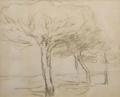 Nathaniel Hone, Sketch Of Trees No.2, Pencil