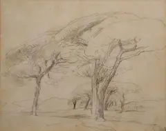 Nathaniel Hone, Sketch Of Trees, Pencil