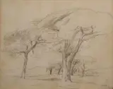 Nathaniel Hone, Sketch Of Trees