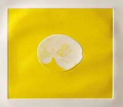 Louis le Brocquy, Lemon, Carborundum print