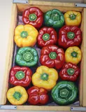 Xolile Mntakatya, Sweet Peppers, Oil on canvas