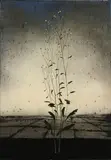Michael Canning, Lights Leaving Iv