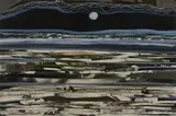 Manus Walsh, Moonlight