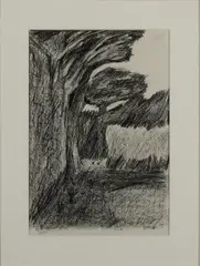 Tony O'Malley, Birds - St. Martins Island, Crayon