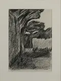Tony O'Malley, Birds - St. Martins Island