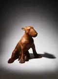 Anthony Scott, Bull Terrier