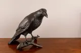 Adam Pomeroy, Raven, Bronze