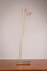 Colm Brennan, Wheat, Bronze