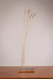 Colm Brennan, Wheat, Bronze