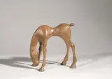 Anthony Scott, Foal