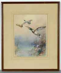 William Edward Powell, Mallards In Flight, Watercolour