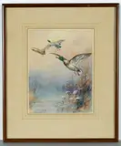 William Edward Powell, Mallards In Flight, Watercolour