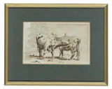 Thomas Woodward, Long Horned Cows Grooming Each Other, Pen and sepia washes