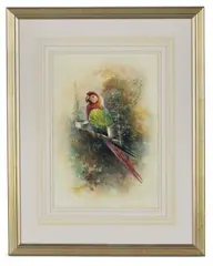 William Edward Powell, A Macaw On Its Perch, Watercolour