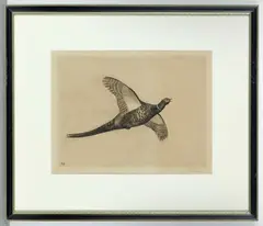 Robert Denholm, Seven Etchings Of Game Birds In Flight, etching and