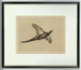 Robert Denholm, Seven Etchings Of Game Birds In Flight, etching and