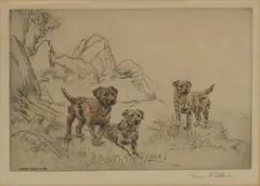 Henry Wilkinson, Three Border Terriers In A Landscape, pencil Colour etching
