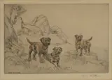 Henry Wilkinson, Three Border Terriers In A Landscape, pencil Colour etching