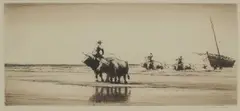 William Douglas Macleod, Valencia Beach, pencil Etching
