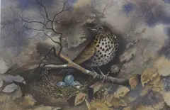 Brian Needham, Thrush Nest With Eggs, Watercolour