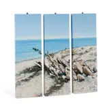 Alexander Slatter, Weathered Posts Triptych, 2005, Oil on box frames
