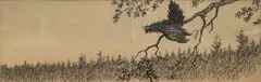 Theodor Kittelsen, Tiur, Blyant og tusj på papir