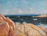 Thorolf Holmboe, Sjøfugler på svaberg, Olje på lerret