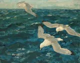 Thorolf Holmboe, Flyvende måker