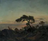 Thorolf Holmboe, Kystlandskap, furu i måneskinn, Olje på lerret