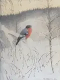 Theodor Kittelsen, Dompap på rimet kvist (Vintermorgen)