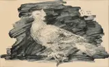 Pigeon au fond gris by Pablo Picasso, 1947, Litografi trykket i svart på middels tynt gulhvitt papir, sold May 2019