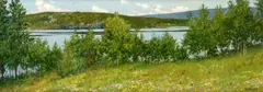 Theodor Kittelsen, En sommerdag, Olje på lerret