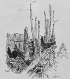Høner by Nikolai Astrup, Penn på tynt beige papir, sold Jun 2017