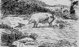 Kråke og gris by Nikolai Astrup, Penn på tykt gulhvitt papir, sold Jun 2017