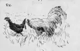 Høne og hane by Nikolai Astrup, Penn på tykt gulhvitt papir, sold Jun 2017