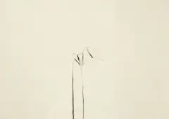 Jan Groth, Komposisjon 1984*, Kullstift på papir