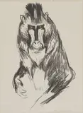 Edvard Munch, Gorilla, Litografi trykket i svart på middels tykt gulhvitt papir