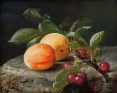 Frants Diderik Bøe, Oppstilling med frukt, 1852, Olje på lerret