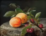 Frants Diderik Bøe, Oppstilling med frukt, 1852, Olje på lerret