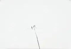 Jan Groth, Komposisjon, 1988, Kullstift på hvit kartong