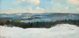 Gustav Wentzel, Utsyn over Christianiafjorden fra Askerlandet, 1896, Olje på lerret