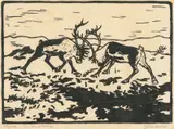 John Savio, To reinokser, Tresnitt trykket i svart på tynt Japanpapir