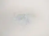 Jakob Weidemann, Det første grønne